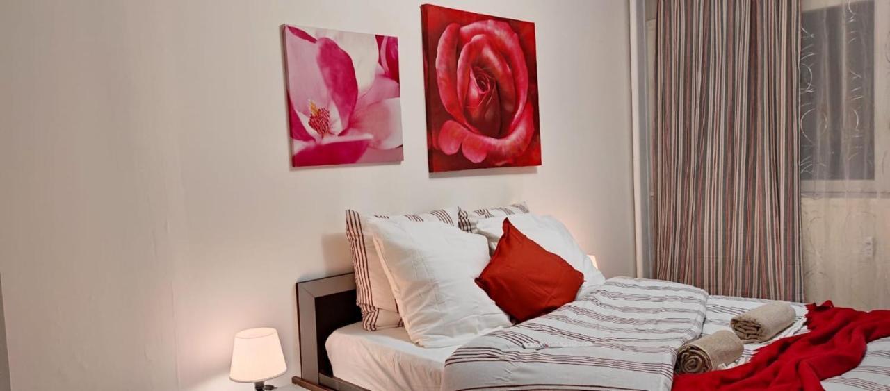 Magnifique Appartement Lille Wifi Parking By Servallgroup Mons-en-Baroeul エクステリア 写真